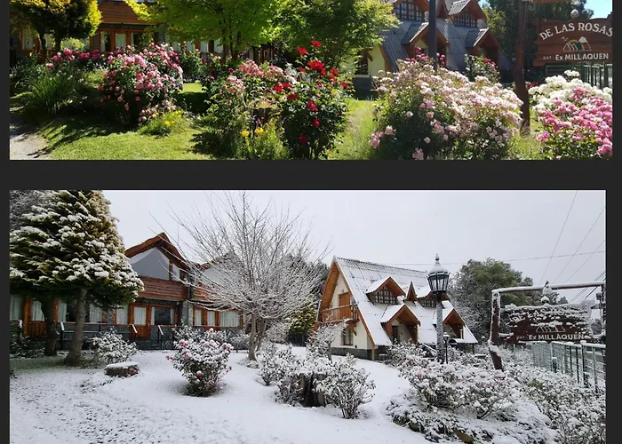 Las Rosas